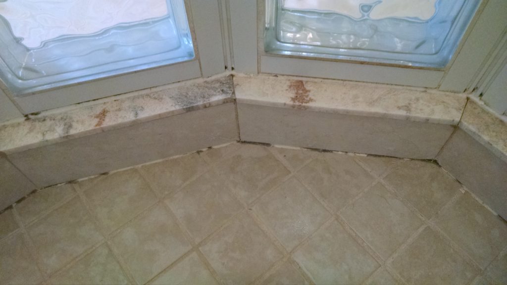 Ceramic and travertine shower with mildew in the grout and caulk